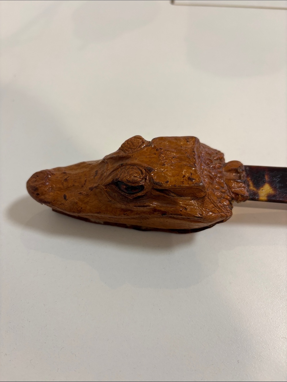 Real taxidermy, alligator letter opener